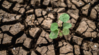 Aus einer Stadtklimaanalyse mit der Nachbarkommune Schwetzingen erhofft sich die Gemeinde Plankstadt Grundlagendaten zur Erstellung eines Klimaschutzkonzeptes.