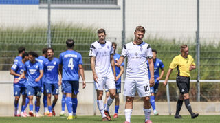 Martin Kobylanski (re.) und Maximilian Thalhammer sind bedient, im Hintergrund bejubeln die Hoffenheimer den 4:1-Endstand.