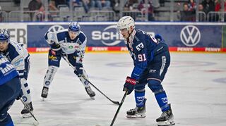 Noel Saffran verlässt die Adler Mannheim.