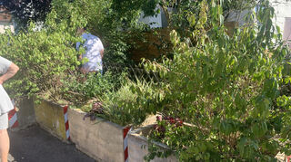 Diese Blumenkübel sollten wieder ihren angestammten Platz auf der Straßenseite gegenüber einnehmen.
