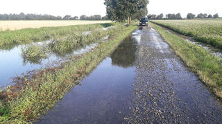Mitte Juli hat der Landgraben (l.) schon wieder Hochwasser, obwohl es zuvor nur durchschnittlich geregnet hat. Das Wasser läuft über den Betriebsweg auf die nördlichen Felder (r.).