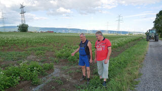 Die Oftersheimer Landwirte Helmut Wiegand (l.) und Klaus Koppert auf einem der betroffenen Felder: Vorne ist der vom Weg eingespülte Kies zu erkennen, dahinter ein Teil der eingegangenen Pflanzen. Der schwere Baustellenverkehr für die neuen Strommasten im Hintergrund könnte den Bereich weiter abgesenkt haben, so eine Vermutung des Regierungspräsidiums.