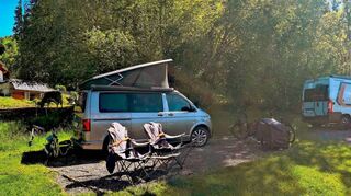 Auf dem Campingplatz Guggemos am Hopfensee weiden Kühe gleich nebenan.