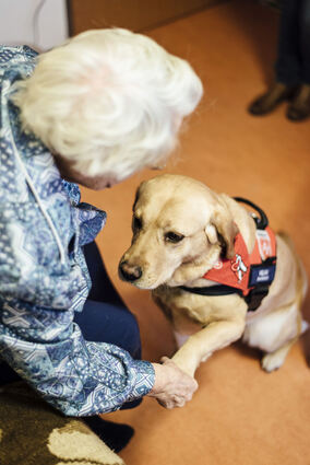 Wer Lust hat, sich gemeinsam mit dem eigenen Hund für andere zu engagieren, kann sich über den Malteser Hundebesuchsdienst in Speyer informieren.