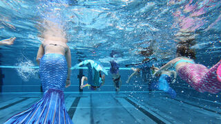 Manchmal wird es recht eng unter Wasser, wenn alle Meerjungfrauen losschwimmen. © Reuther