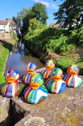 Die sind aber bunt dieses Jahr. Die neue Enten-Edition fürs Altstadtfest wartet auf den Kauf und den Einsatz im Woogbach-