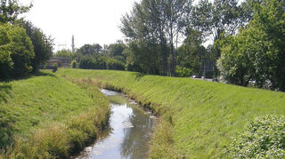 In Wiesloch wird der Leimbach bald naturnaher ausgebaut sein: Im Bereich „In den Weinäckern“ sollen dafür die vorhandenen Dämme versetzt werden.