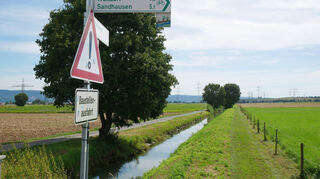 Bei Oftersheim sollen Leimbach und Landgraben (Bild) zusammengelegt und zu einer 50 Meter breiten Auenlandschaft umgestaltet werden, um die Artenvielfalt zu erhöhen.