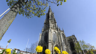 Der leuchtend gelb blühende Löwenzahn auf dem Platz vor der Gedächtniskirche in Speyer bildet einen schönen Rahmen zum Blau des Himmels und dem Grau des Sandsteins der Kirche.