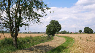 Die Fläche zwischen Landgraben (l.) und Leimbach (Baumreihe r.) soll bis Ofterhseim (hinten) komplett umgestaltet werden. Entsprechend sollen die Felder der Oftersheimer Bauern ersatzlos weichen.