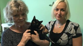 Barbara Schwalbe (l.) und Anja Hecker pflegen die Katzen.