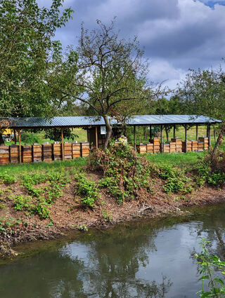 Die Bienenstöcke von Imker Günther Martin stehen direkt am Ufer des Leimbachs – auf Ketscher Gemarkung natürlich.