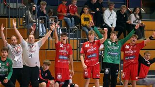 Grund zum Jubeln hatte die Bank der HG mit den beiden Trainern Justin Hahne und Björn Erny (2. und 3. v. l.) beim Sieg gegen DJK Rimpar häufig.