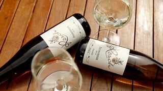 Das Weingut Rösch bringt einige feine Tropfen mit nach Ketsch.