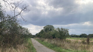 Solche Hecken wie hier nahe der Brühler Straße sind nicht nur wichtige Lebensräume für Tiere, sie bieten ihnen auch die Möglichkeit, in Deckung von einem Biotop zum anderen zu wechseln. Bild: strauch