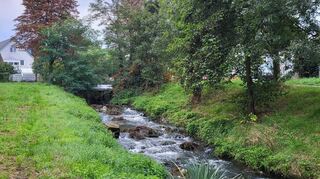 Die ökologisch wichtige Fischtreppe an der Ketscher Straße er-setzt seit den 1980er Jahren das frühere Stauwehr.