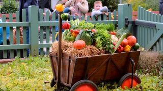 Satte Farbenpracht und volle Vitaminpower der kühlen Jahreszeit: Unter diesem Motto steht die 22. Ausgabe des Herbstmarktes in Brühl.