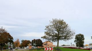 Die Straße von St. Leon nach Neulußheim, die L 546, muss in Höhe des Kreisel am westlichen Ortseingang der Gemeinde saniert werden. Bürgermeister Weisbrod rechnet mit erheblichen Verkehrsbehinderungen.