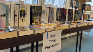 Diese Neuzugänge in der Ketscher Gemeindebücherei dürften den Geschmack der Leser treffen: Von Psychothrillern bis hin zu Krimis sind etliche Genres vertreten.