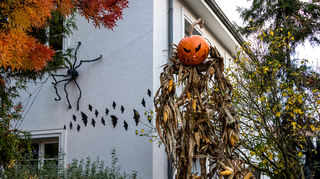 Wie jedes Jahr hat Familie Christmann rund um ihr Haus alles wunderschön und gruselig für Halloween dekoriert.