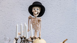 Wie jedes Jahr hat Familie Christmann rund um ihr Haus alles wunderschön und gruselig für Halloween dekoriert.