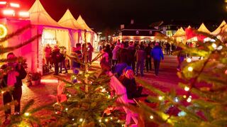 Zwar ist es mittlerweile dunkel im Herzen der Kurpfalz – ein kleiner Fleck ist aber nach wie vor hell beleuchtet. Der Schlossplatz ist mit schönen Weihnachtsbäumen und anderen Lichtquellen geschmückt.