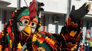 Die Rohrhofer Gockelzunft ist im Januar Gastgeber für ein fasnachtliches Großevent der Hästräger.