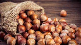 Haselnüsse sind nicht nur in der Adventszeit lecker.