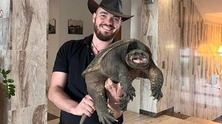 Sie ist eher scheu, kann aber auch anders - wenn sie sich bedroht fühlt: Schnappschildkröte „Schnappi“ kann fauchen und beißen. Feuerwehrleute haben sie bei Biblis gefunden.