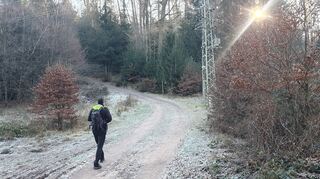 Richtung "Drei Buchen". Die Wege sind hier breit und für jeden gut begehbar.