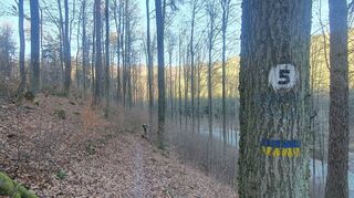 Weg Nummer "5" (gelb-blau) führt zurück nach Hofstätten.