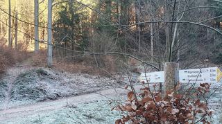 Schmale Waldpfade führen zurück nach Hofstätten.