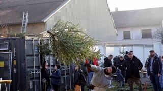 Mit viel Körpereinsatz startet der Weihnachtsbaumweitwurf beim diesjährigen „Knutfest“ der Feuerwehr.