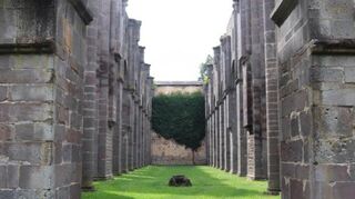 83 Meter lang ist die Kirche, die nach der Auflösung des Klosters zur Ruine gemacht wurde.
