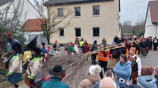 Beim Narrensprung in Ketsch wird der traditionelle Narrenbaum aufgestellt.