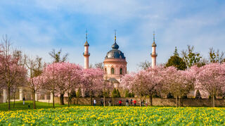 Die Gartenmoschee zählt zu den faszinierendsten Bauten im Schwetzinger Schlossgarten. Noch schöner ist ihr Anblick während der Kirschblüte.