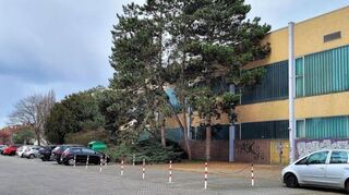 Die alte Rhein-Neckar-Halle in Eppelheim wurde abgerissen. Hier wird nun die künftige Hans-Peter-Wild-Halle gebaut.