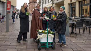 Topfblümchen von der Bürgersfrau Elke Noesges für Leute auf der Straße.
