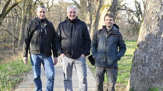 Projektleiter Jens Teege (links), Referatsleiter Peter Schneider und Baumgutachter Daniel Esche bei einem Vor-Ort-Termin in Mannheim auf dem Rheindamm.