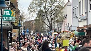 Viele Zuschauer verfolgen wie hier in der Karlsruher Straße den bunten Zug der Kindergärten und Schulen sowie der Motivwagen.