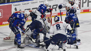 Kampf um jeden Zentimeter Eis. Die Spieler der Adler Mannheim (blau) versuchen, den Puck über die Münchener Torlinie zu arbeiten.