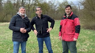 Am Rand der Ketscher Allee türmen sich die Baumstämme; Günther Martin (v. l.), Dr. Andre Baumann und Nikolaus Eberhardt machen sich vor Ort ein Bild von der aktuellen Situation.