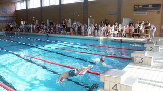 Den Jungen und Mädchen bereitet die Teilnahme am Schulschwimmfest im Brühler Hallenbad sichtbar große Freude - auch am Beckenrand, von wo eifrig angefeuert wird.