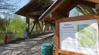 Die Ketscher Rheininsel ist bereits seit vielen Jahrzehnten ein Naturschutzgebiet und bei Besuchern sehr beliebt. Entsprechend emotional fallen einige Reaktionen auf die jüngsten Baumfällungen aus.