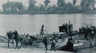 Ein Pferdegespann verlässt in den 1930er Jahrn die Kollerfähre- ein Bild, das die enge landwirtschaftliche Verpflechtung der beiden Brühler Rheinseiten symbolisiert.