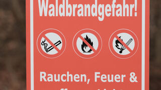 Die Waldbrandgefahr im Rhein-Neckar-Kreis ist aktuell hoch (Symbolbild).