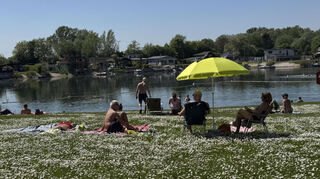 In einem Meer von Gänseblümchen am Badessee entspannen - die Hohwiese macht es möglich