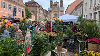Grünes Paradies: Alexandra Remus aus Speyer bot Blühpflanzen und Kräuter an.