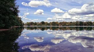 Der Weinheimer Waidsee bietet idyllische Anblicke und Badevergnügen.