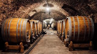 500.000 bis 550.000 Flaschen Wein produziert das Weingut Bürklin-Wolf jährlich.